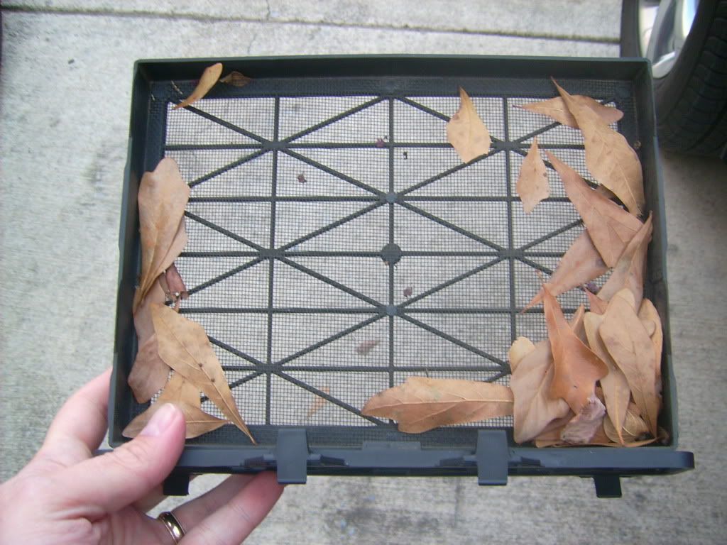 Cabin Air Filter Installed in 2008 Enclave with Tray/Screen